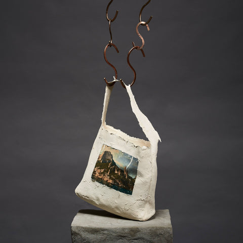 Picture tote